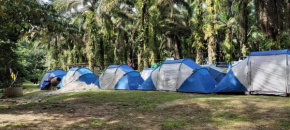 Gopeng Campsite